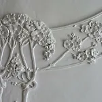 Oekologische *